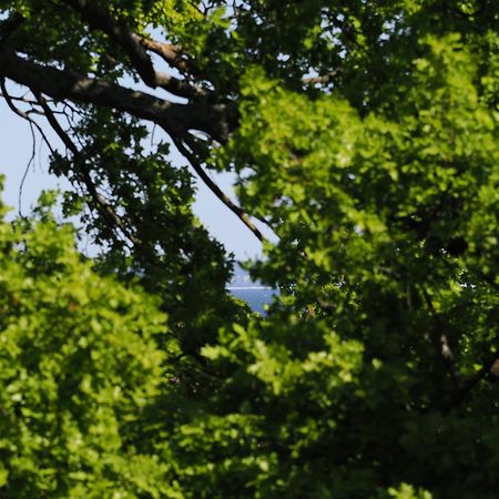 Kaiservillen Heringsdorf - Ferienwohnung Mit 2 Schlafzimmern Und Balkon D213 Kültér fotó